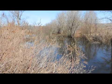 Impossible de lire la video