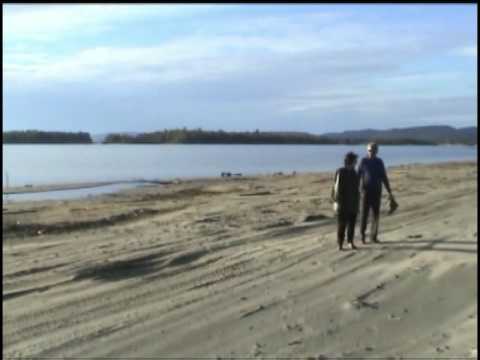 Impossible de lire la video