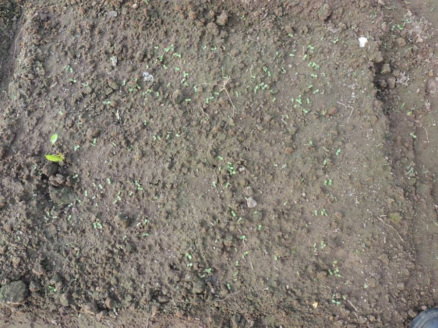 <p>Photo du 17 mai.</p>